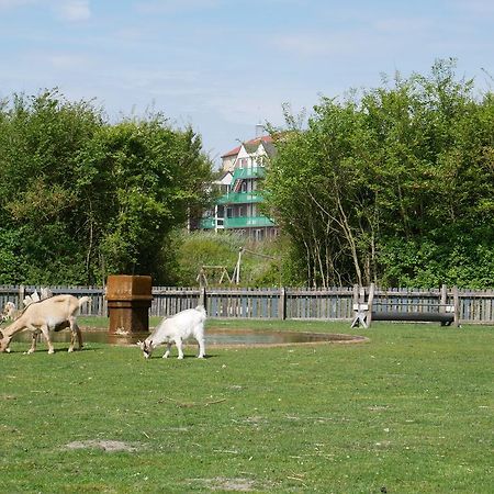 Huize De Duinen Aparthotel Bergen aan Zee Εξωτερικό φωτογραφία