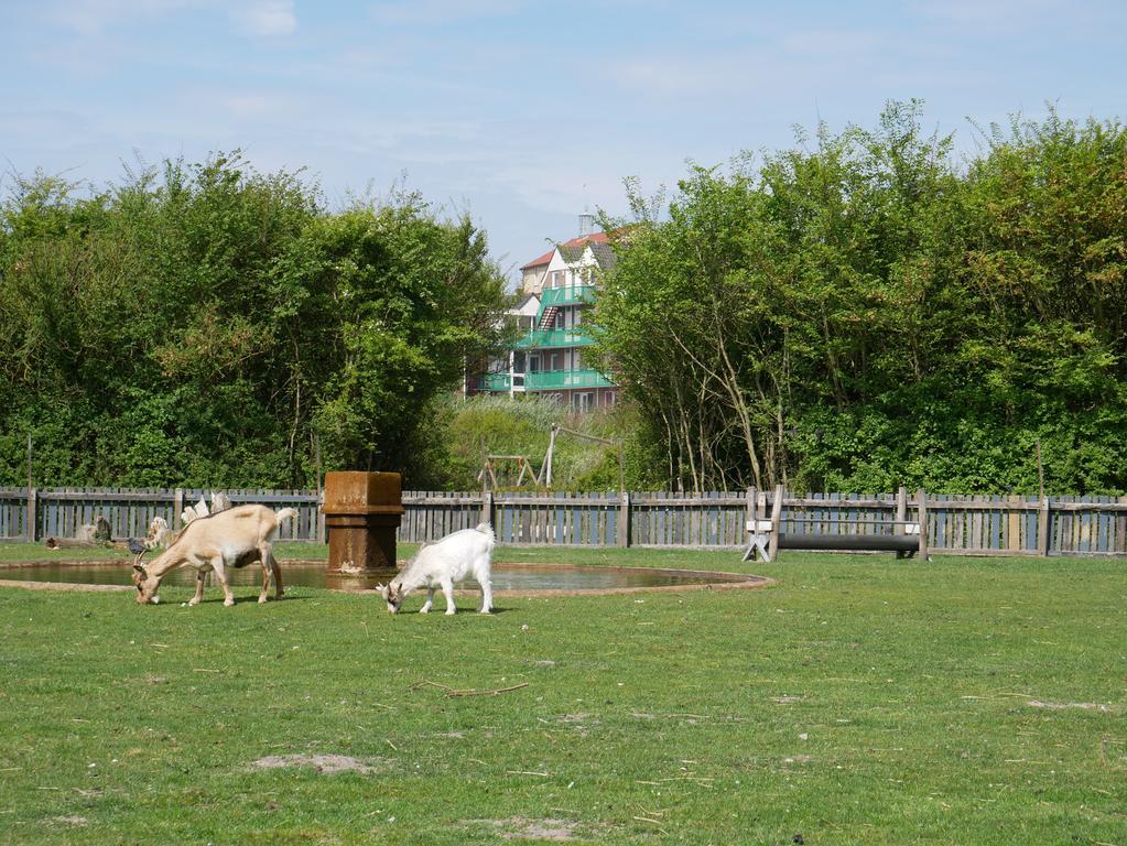 Huize De Duinen Aparthotel Bergen aan Zee Εξωτερικό φωτογραφία