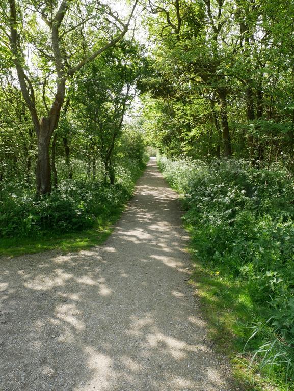Huize De Duinen Aparthotel Bergen aan Zee Εξωτερικό φωτογραφία