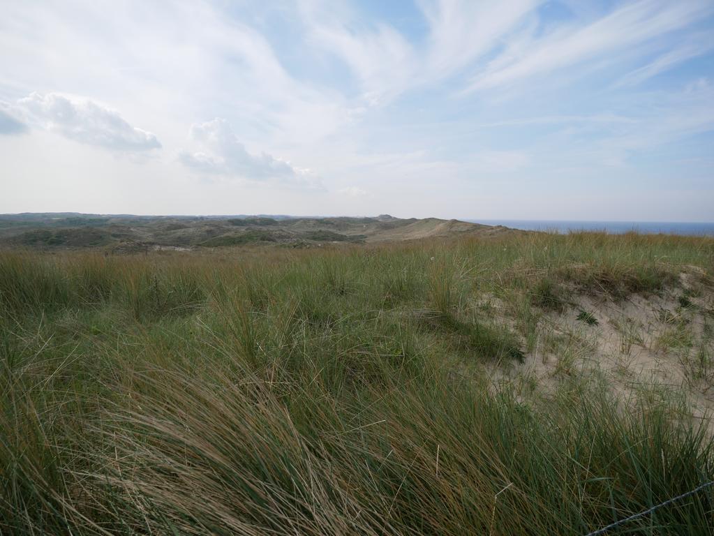 Huize De Duinen Aparthotel Bergen aan Zee Εξωτερικό φωτογραφία