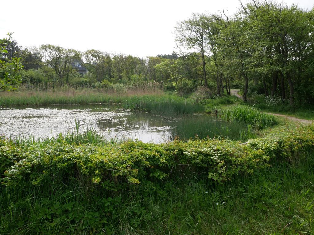 Huize De Duinen Aparthotel Bergen aan Zee Εξωτερικό φωτογραφία